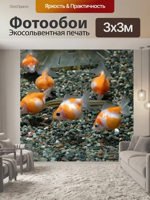 Фотообои Рыбы