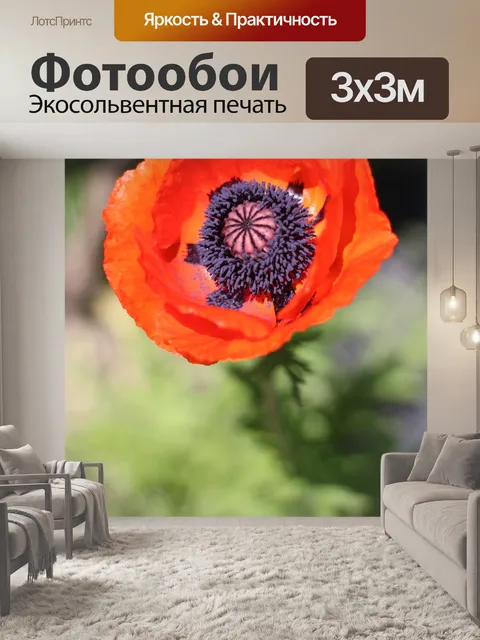 Фотообои Маки