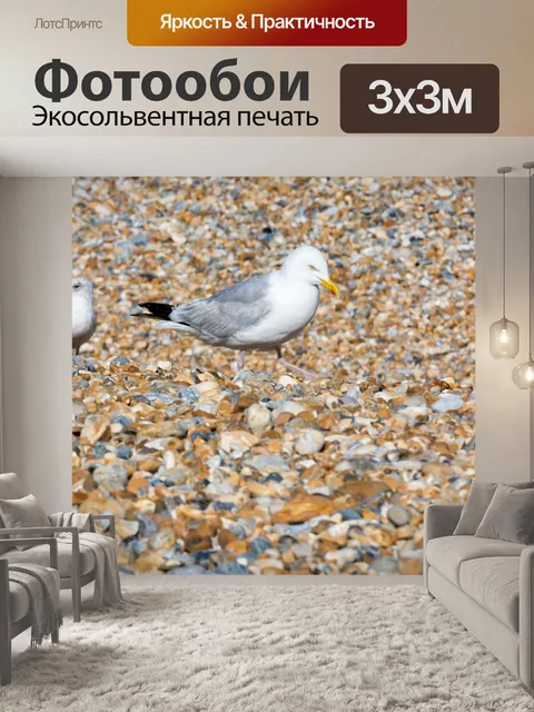 Фотообои чайки на пляже
