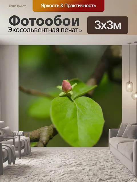 Фотообои Грин