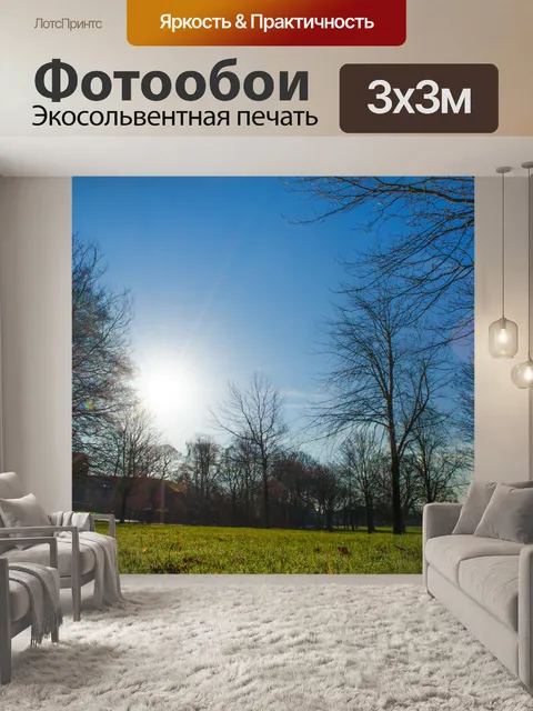 Фотообои Утро Парк с деревьями