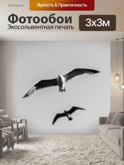 Фотообои Птицы