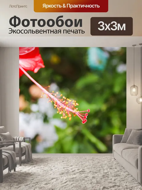 Фотообои Гибискус