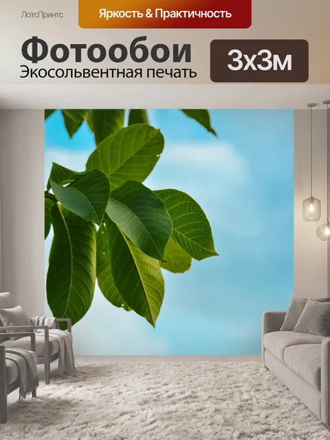 Фотообои Листья