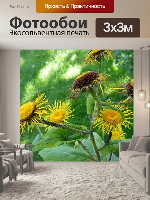 Фотообои Alant