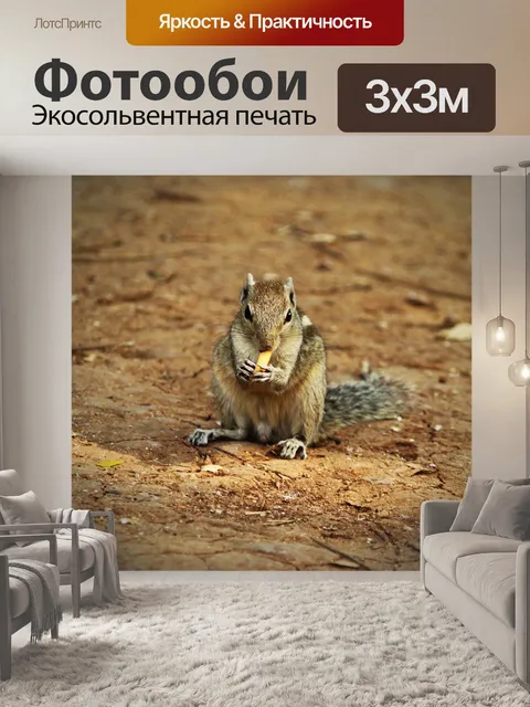 Фотообои Красивое животное