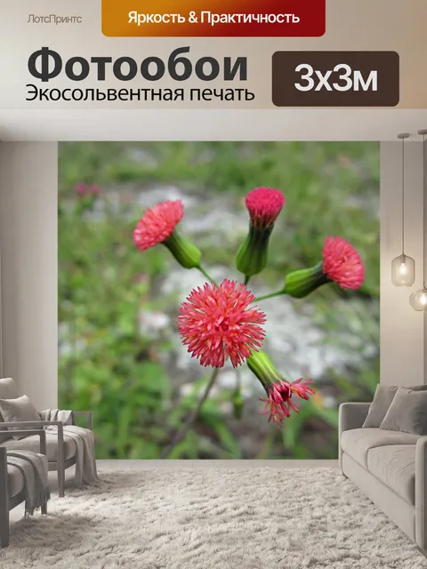 Фотообои Цветы