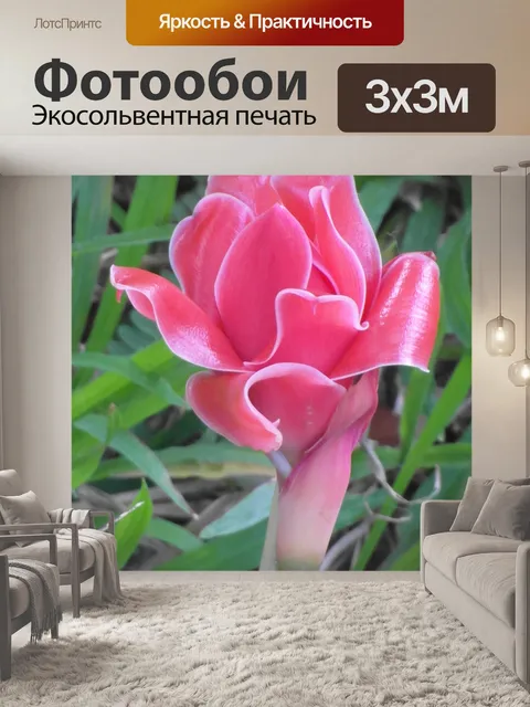 Фотообои Красный тропический цветок