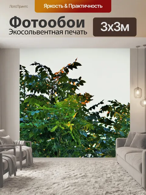 Фотообои мыс ясень