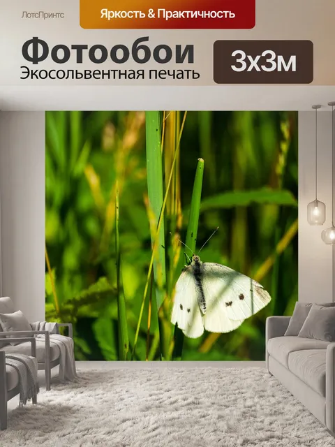 Фотообои Бабочка
