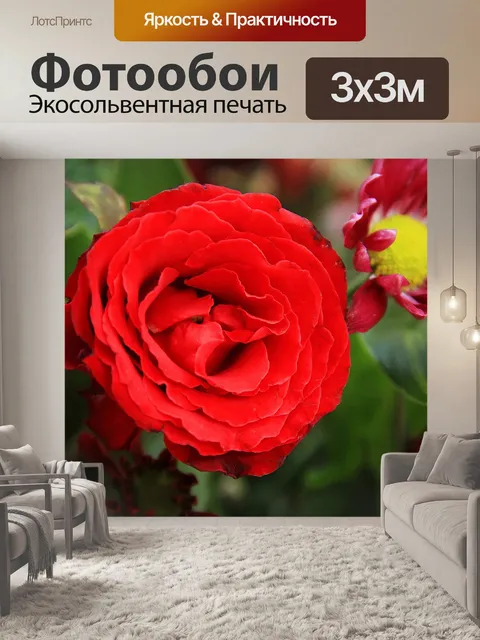 Фотообои Букет