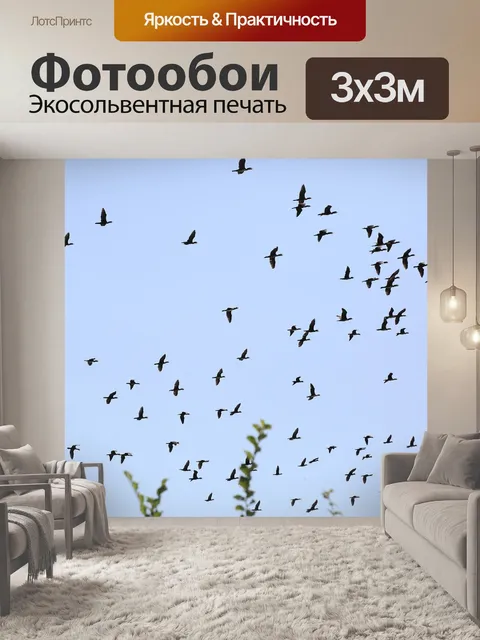 Фотообои Птицы