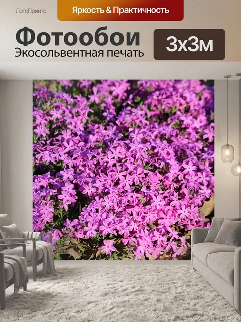 Фотообои Фиолетовые ползучие цветы флокса