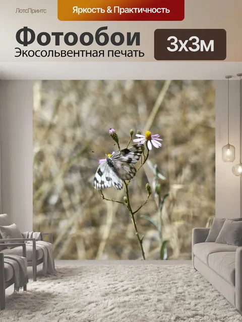 Фотообои Голубой Крем Браун бабочка