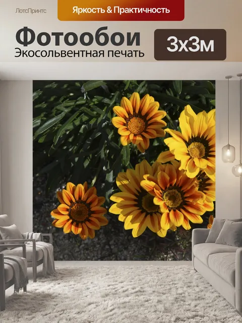 Фотообои Оранжевый и желтый цветок