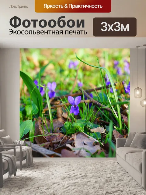 Фотообои Лесные фиалки
