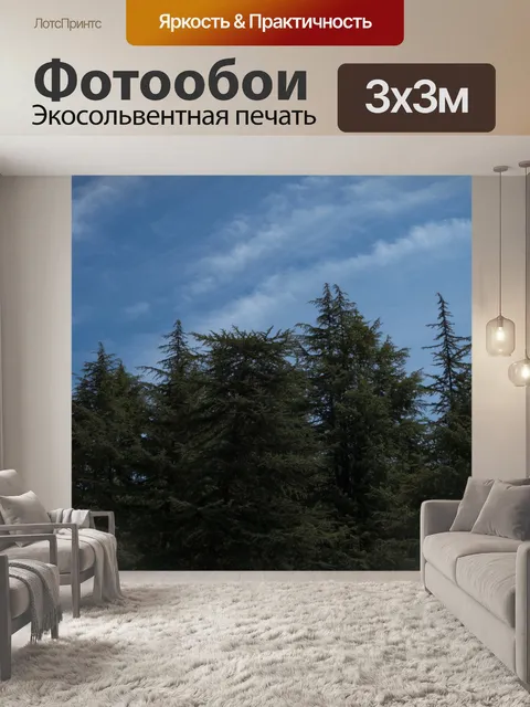 Фотообои Вершины деревьев