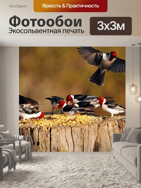 Фотообои Птицы