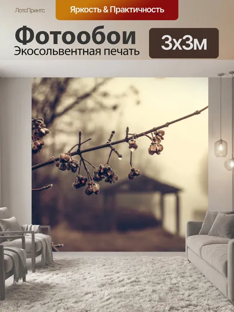 Фотообои Туманный Лес