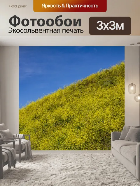 Фотообои Желтый полевой цветок