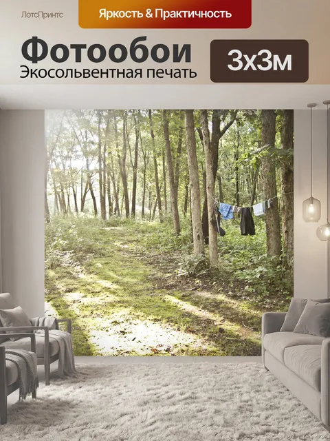 Фотообои Веревка для белья в лесу