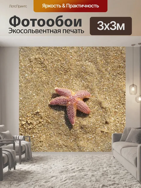 Фотообои Морская звезда