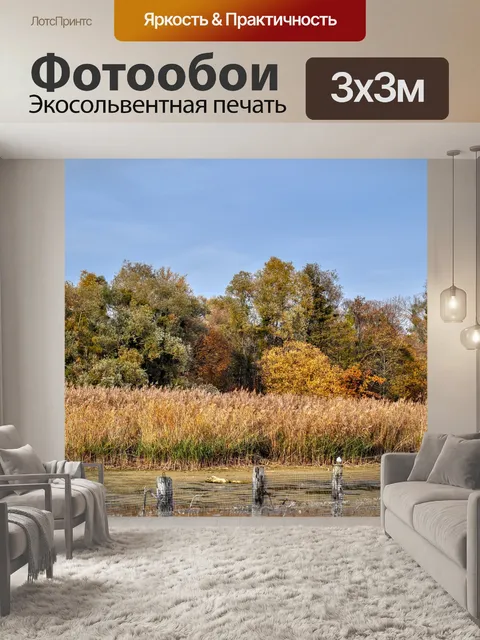 Фотообои Падение
