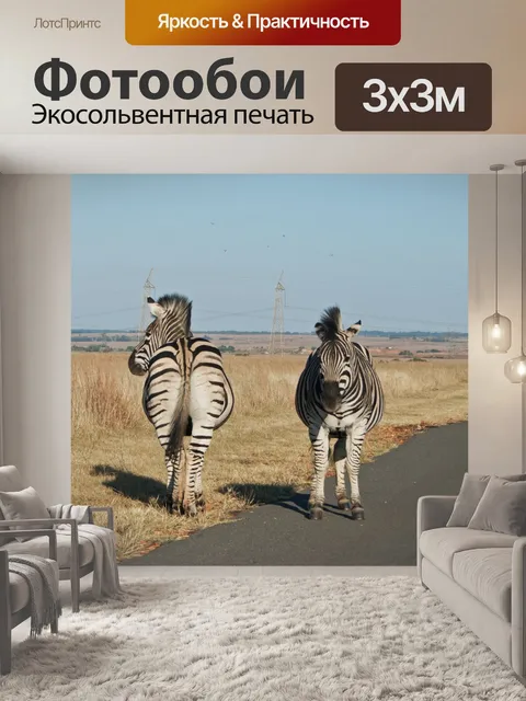 Фотообои зебры на дороге