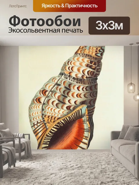 Фотообои Улитка моллюск винтаж старый