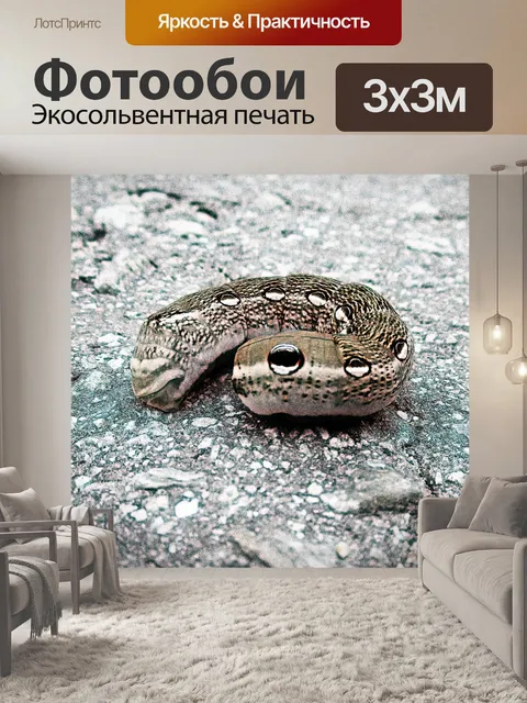 Фотообои Широкий графический роман Caterpillar