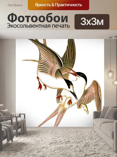 Фотообои Крачки дерутся из-за рыбы