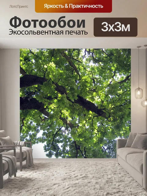 Фотообои свет на дубовых листьях деревьев