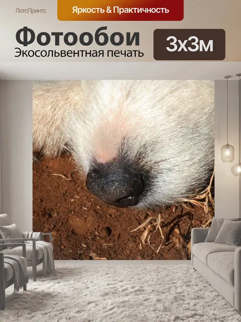 Фотообои Лапа и нос Джека Рассела