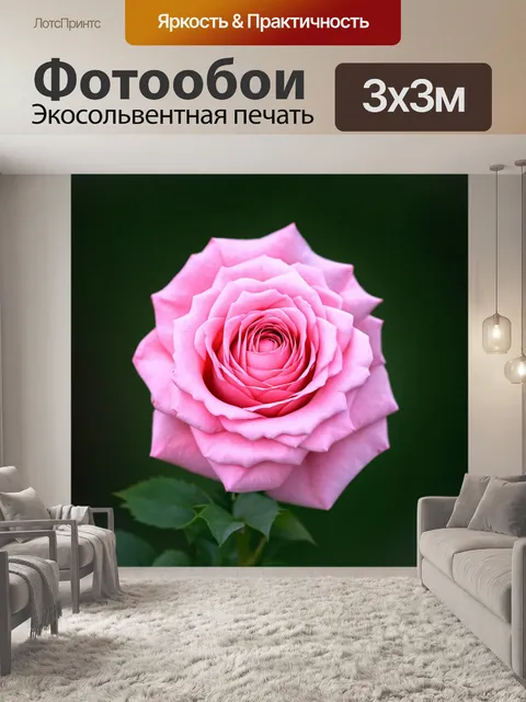 Фотообои розы в стиле плоский, нежные розовые оттенки с акцентом на естественные формы