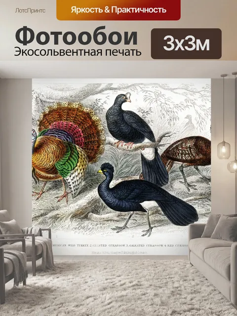 Фотообои Птицы индейка винтаж старый