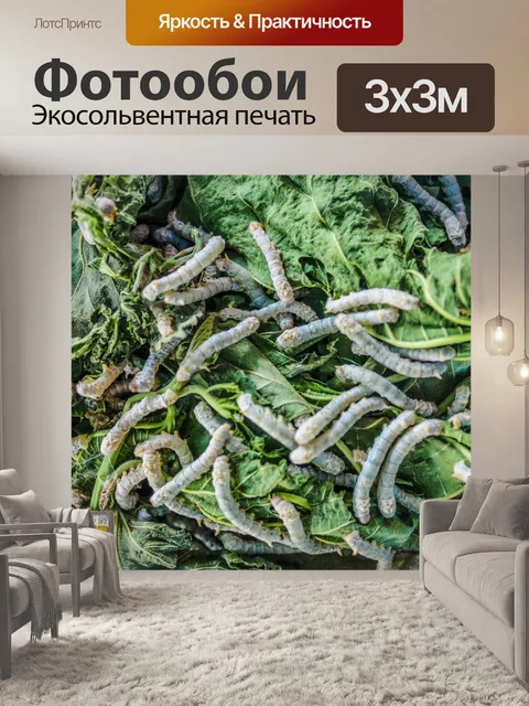 Фотообои Шелкопряд ест листья шелковицы