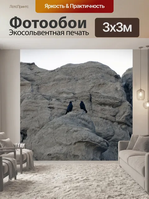 Фотообои Две вороны на Красной Скалы