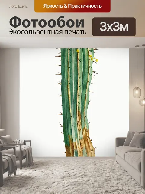 Фотообои Кактус cacti art vintage