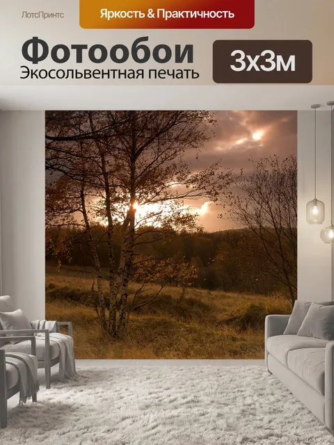 Фотообои Запад