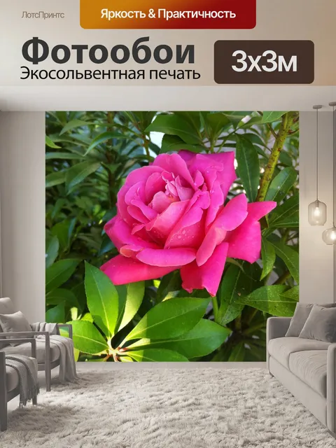 Фотообои Пурпурный