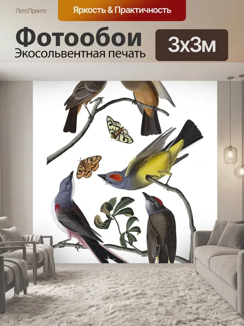 Фотообои Мухоловка птицы старинный клипарт