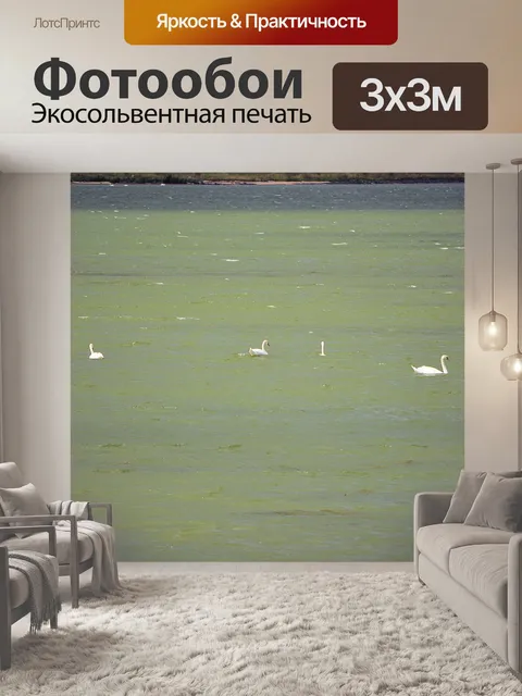 Фотообои Лебеди