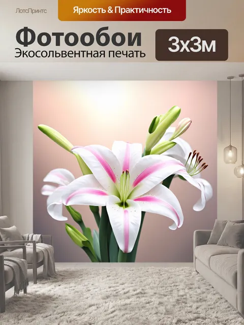 Фотообои Белые лилии с нежными розовыми оттенками на слегка размытом светлом фоне