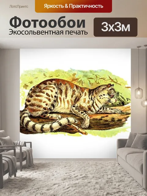 Фотообои Большая кошка кошка старинное искусство