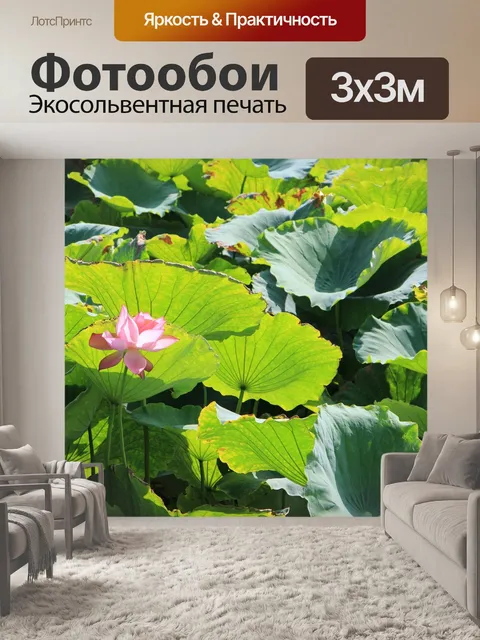 Фотообои Lotus