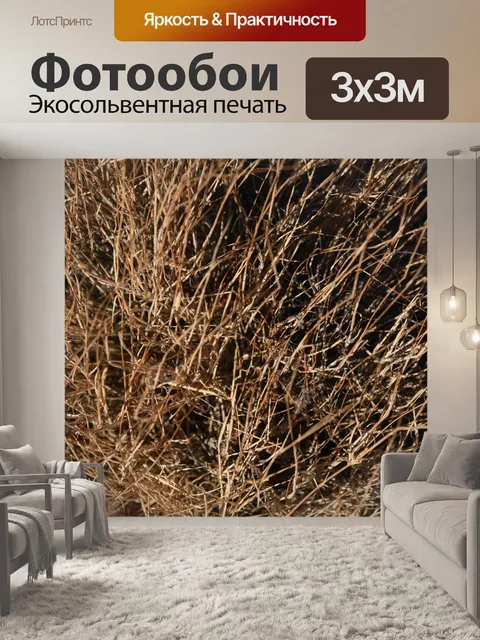 Фотообои Трава фон