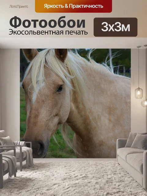 Фотообои Блондинка Верховая