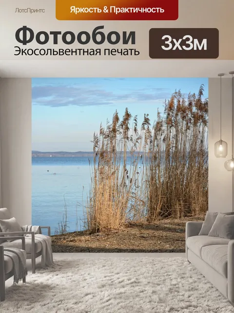 Фотообои Тростник