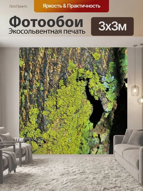 Фотообои мхи и лишайники на стволе дерева 2