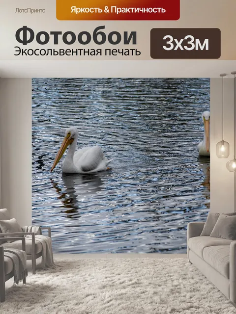 Фотообои белые пеликаны